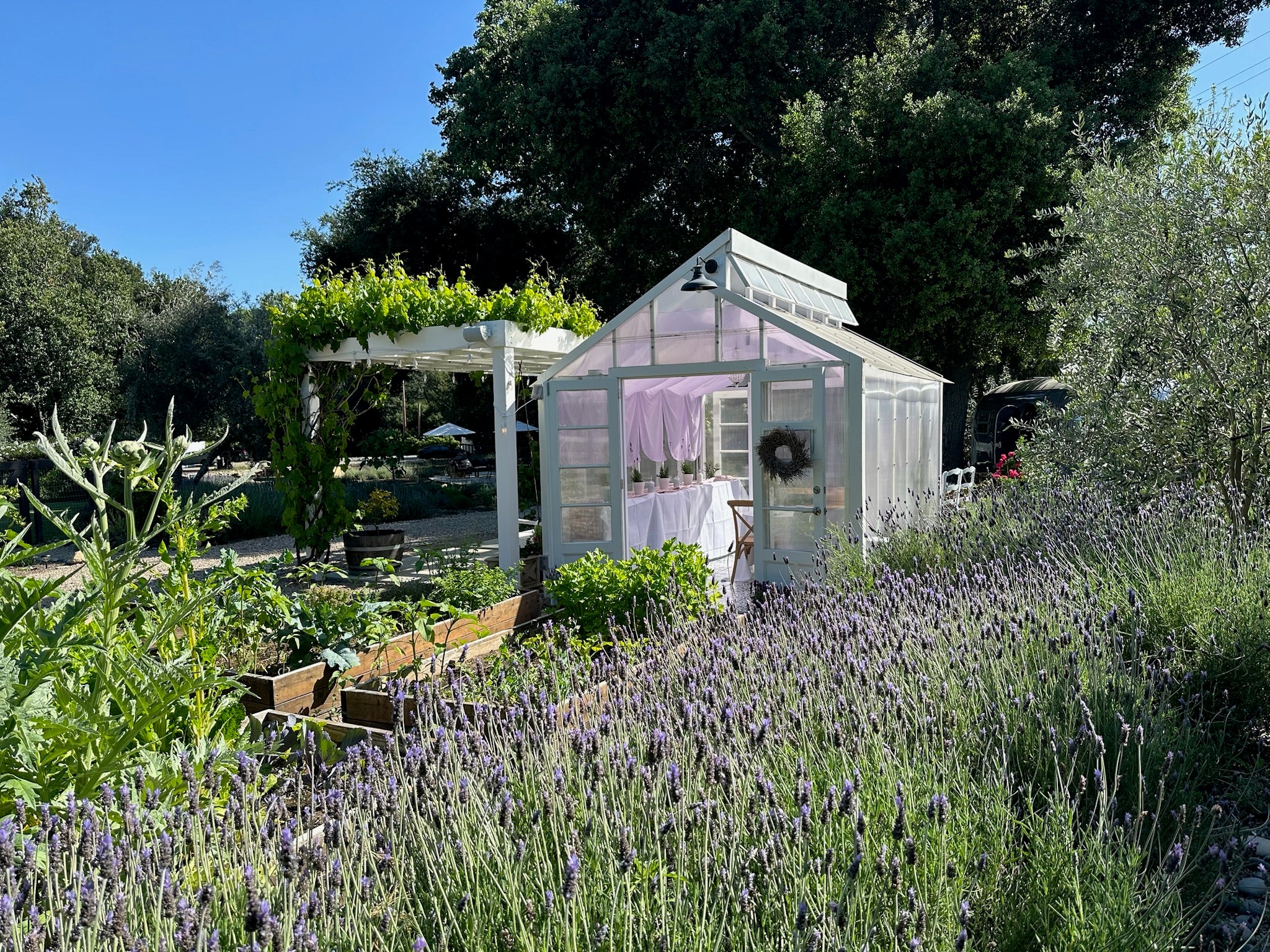 Greenhouse in a garden with lavender and trees