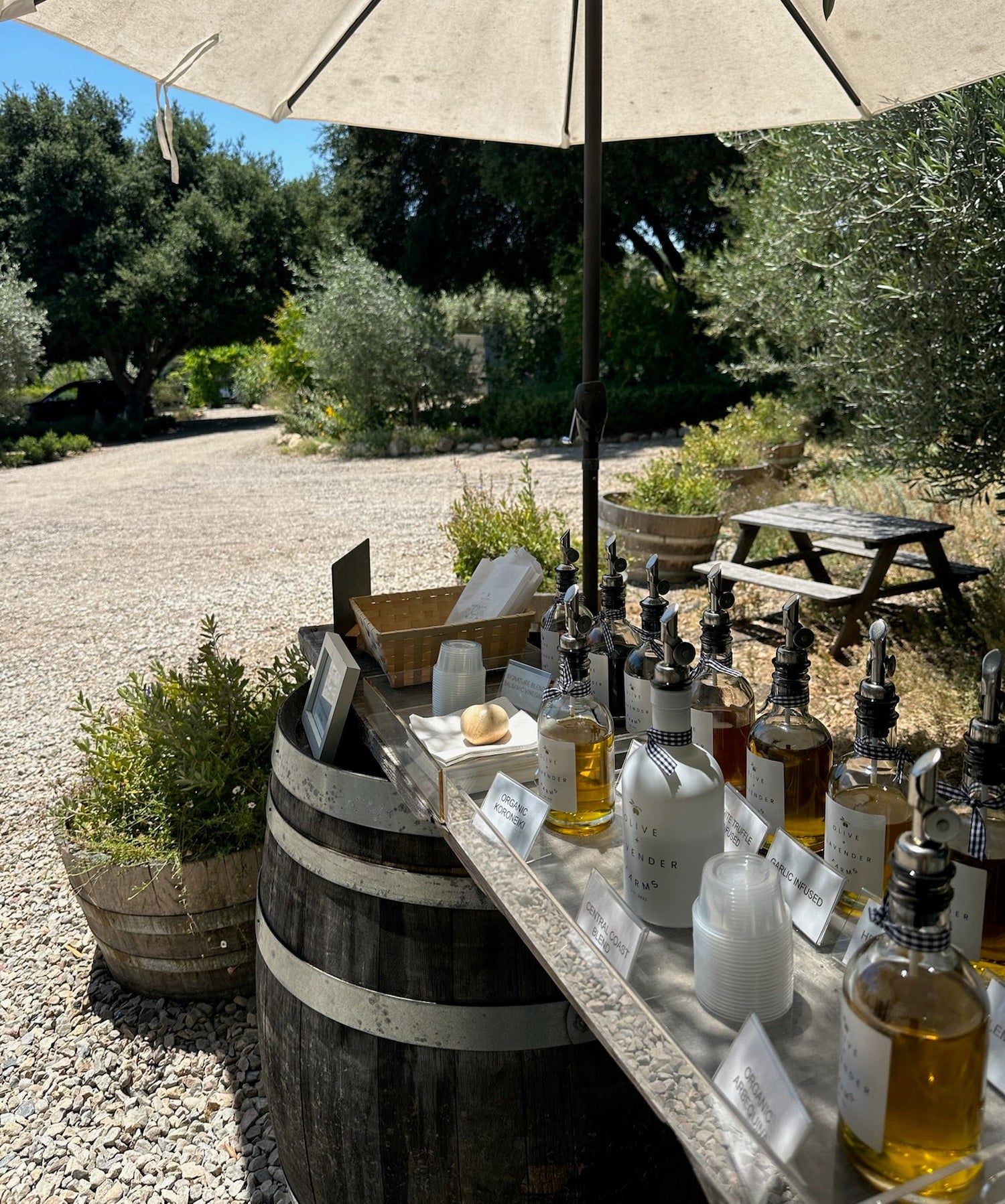 Outdoor setting with bottles on a barrel under an umbrella, surrounded by greenery.