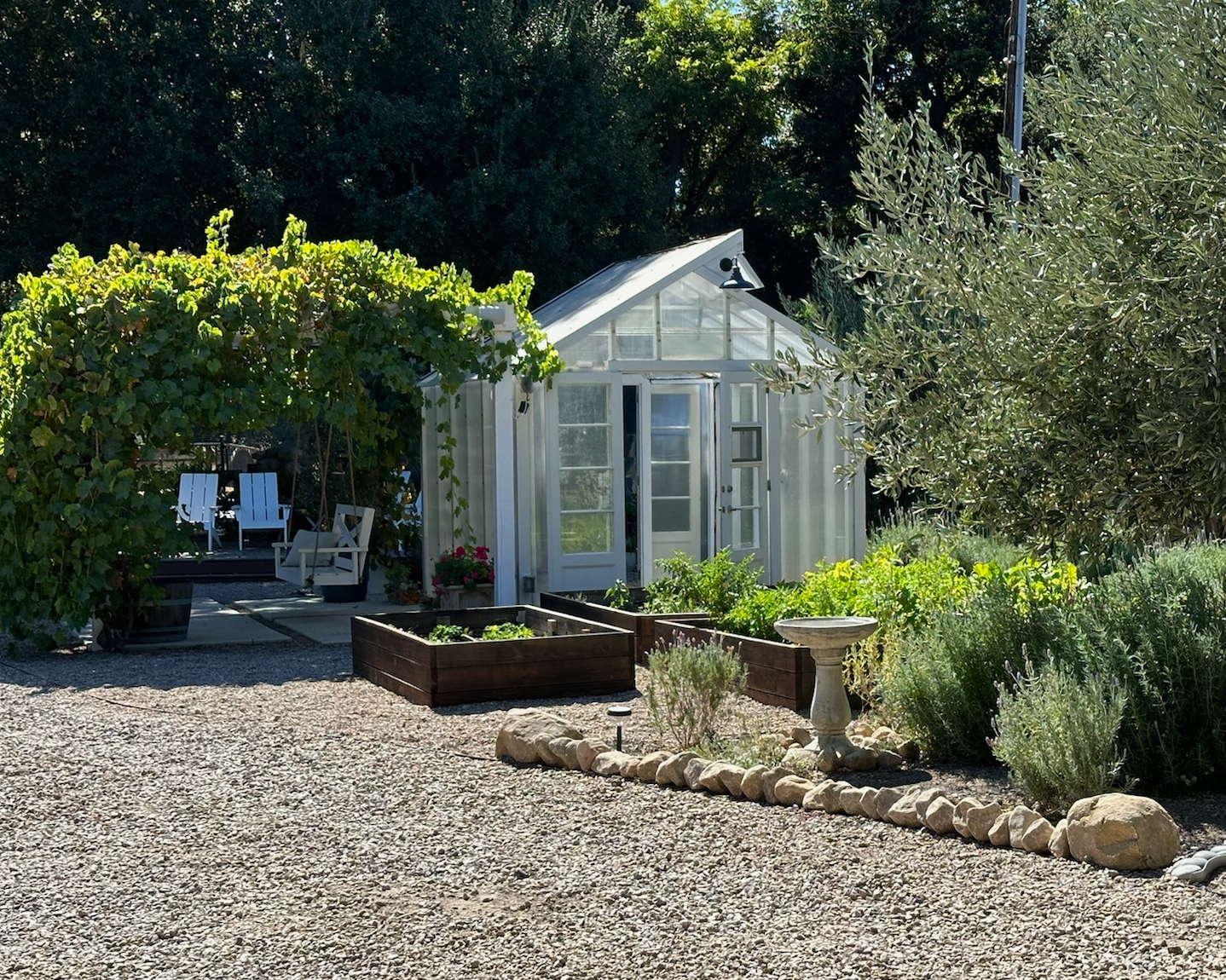 Small white garden shed surrounded by greenery and plants in a gravel area.
