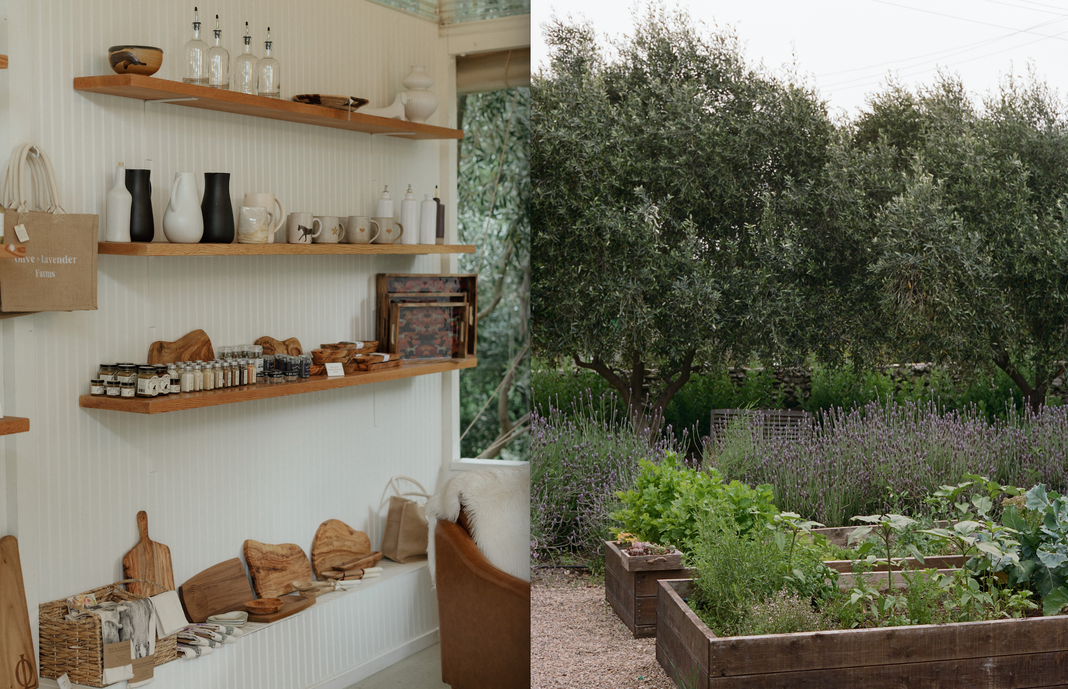 Collage of a kitchen shelf with wooden items and an outdoor garden with trees and plants.