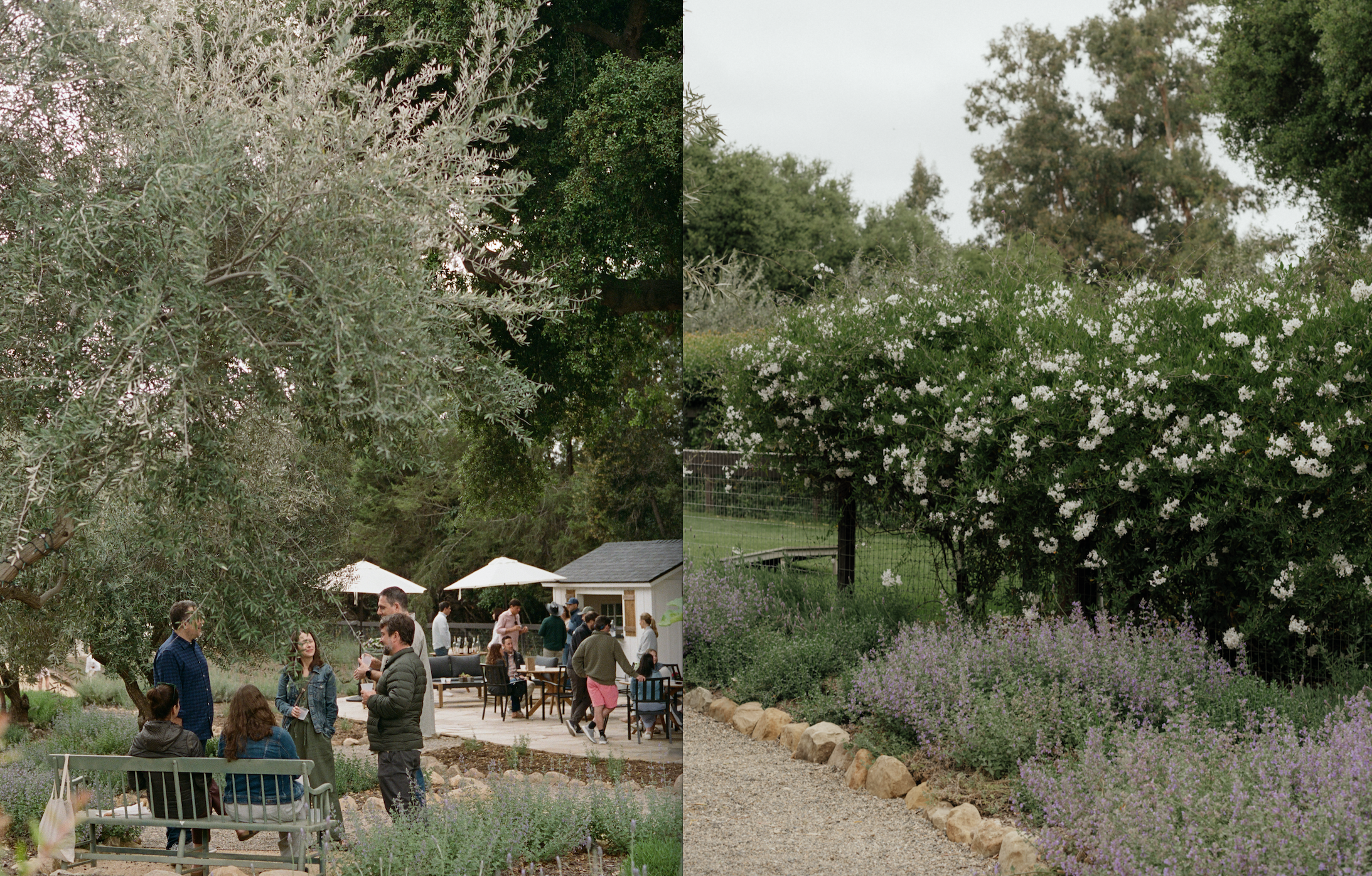 Two images of a garden setting with people and outdoor furniture, surrounded by trees and plants.