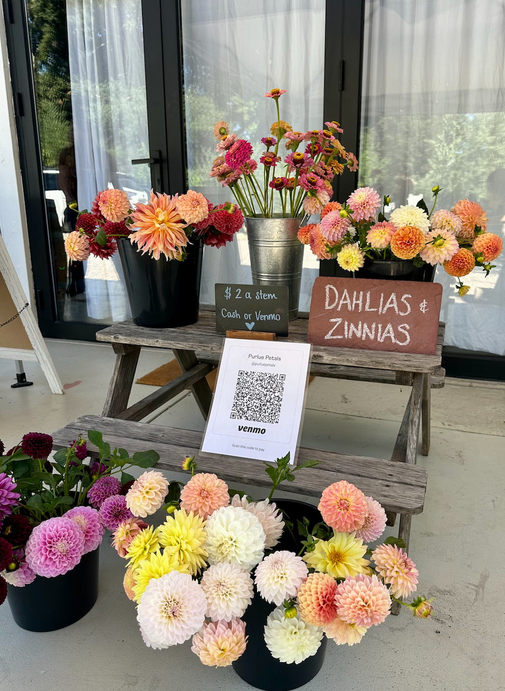 Floral arrangements in pots on a wooden step with signs indicating flower types.