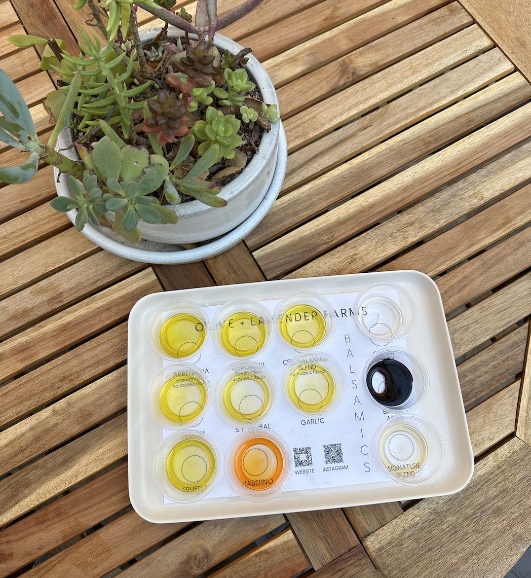 Plastic container with various small round items on a wooden surface with a plant in the background